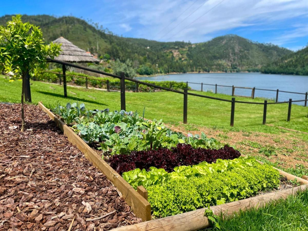 Campos River House Figueiro Dos Vinhos Ngoại thất bức ảnh
